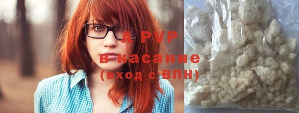амф Бородино
