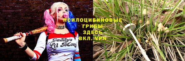 амф Бородино