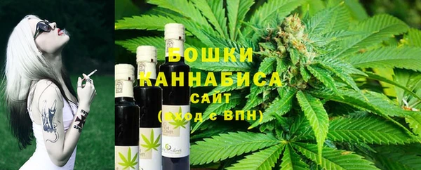 амф Бородино