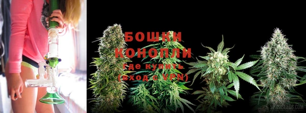 амф Бородино